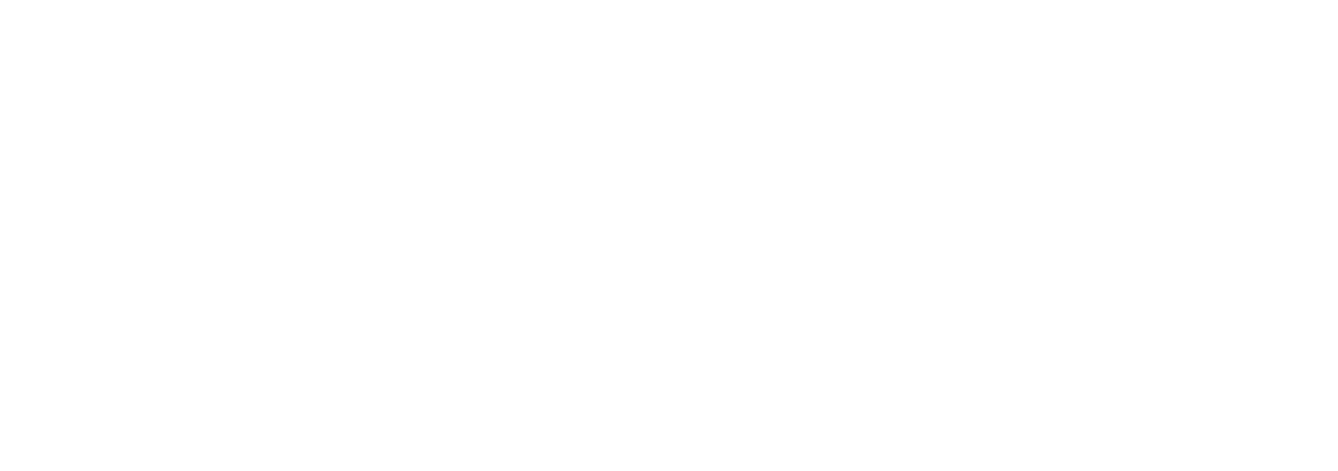Logo RSZV diapositief